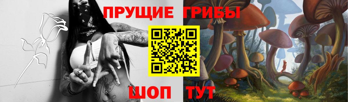 Галлюциногенные грибы GOLDEN TEACHER Медногорск