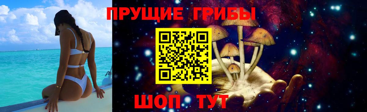 Псилоцибиновые грибы мицелий  Вход с VPN  Медногорск  Галлюциногенные грибы мицелий 